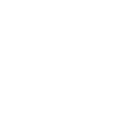 The PL Palace logo